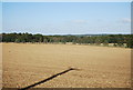 Large ploughed field near Kitchenour Lane