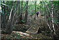 Footbridge crosses Decoy Pond Ditch, Burnt Wood