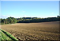 Ploughed field near Peasmarsh