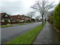 Winter trees in Parklands Avenue