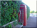 Telephone box, Frensham