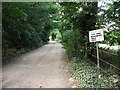 Entrance driveway to The Vine Nurseries, Blunham