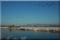 SO9036 : Canada geese over a frozen River Avon by Philip Halling
