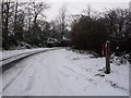 West Wellow: southern end of Gardeners Lane