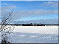 Snowed field  beside A1 on Christmas Day