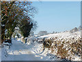 SO9095 : Pennwood Lane  on Colton Hills, Staffordshire by Roger  D Kidd