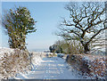 SO8995 : Pennwood Lane  on Colton Hills, Staffordshire by Roger  D Kidd