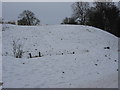 SP7920 : Bolebec Castle mound by Virginia Knight