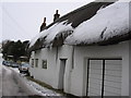 Icicles on the thatch