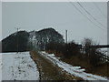 A track to Walk House Farm, Kiplingcotes