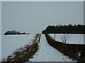 A farm track towards South Dalton Wold