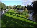 Long Pond, Totteridge Common