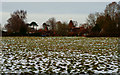 View Towards New Place Farm, Lingfield, Surrey