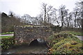 A bridge over the river Caen at Little Comfort Farm as seen from upstream