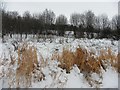 Snow covered ground, Mullaghmore