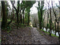 Path to Three Cliffs Bay