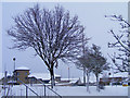 Lossiemouth Snow Scene