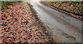 The narrow Ballynahatty Road, Belfast