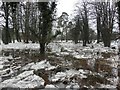 Blocks of ice and flooding, Cranny Picnic Area