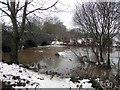 Wintry along the Ballynamullan Burn