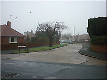TA0330 : Birch Drive off Lime Avenue, Willerby by Ian S
