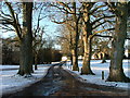 Road at Kiltearn Old Parish Church