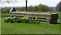 Cattle trough, Streatham Common