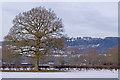 Towards the North Downs