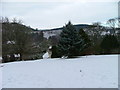 Snow covered grounds of Ben Wyvis Hotel, Strathpeffer