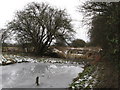 Wilts & Berks Canal, Swindon