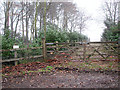 Gated track onto the grounds of Ellingham Hall