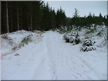 NH4956 : Snow covered track to Moy Wood by Dave Fergusson