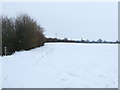 Snow Coved Footpath