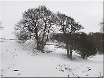 NY8452 : Snowy footpath to Holms Linn by Mike Quinn
