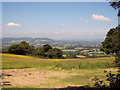 Meadow near Knowbury