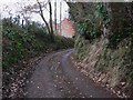 Bend on bridleway near Dean