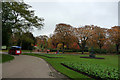 Flower beds and road train in Cannon Hill Park