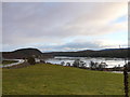 NH6291 : Loch Migdale by sylvia duckworth