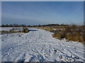 The Great Eau Outfall bridge