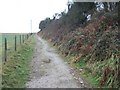 Hannaford Road leading to The Warren