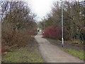 Footpath Behind Shetland Way