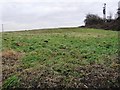 Grassy field, West Hardwick