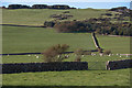 Looking West from Rascarrel Cottage