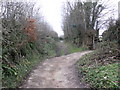 Coleridge Way, near Cutcombe Cross