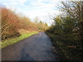 The South Downs Way starting its climb up Highden Hill