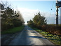 Looking south along Northfield Lane towards Welwick