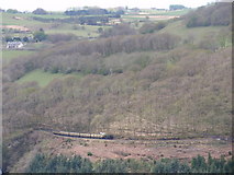 SN7377 : Tren Stem Cwm Rheidol / Rheidol Valley Steam Train by Alan Richards
