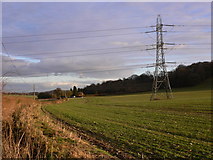 SU7234 : Field with pylon near Upper Farringdon by Shazz