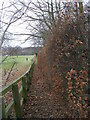 Footpath - Calverley Lane