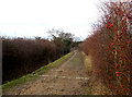 Rosehip Bridleway